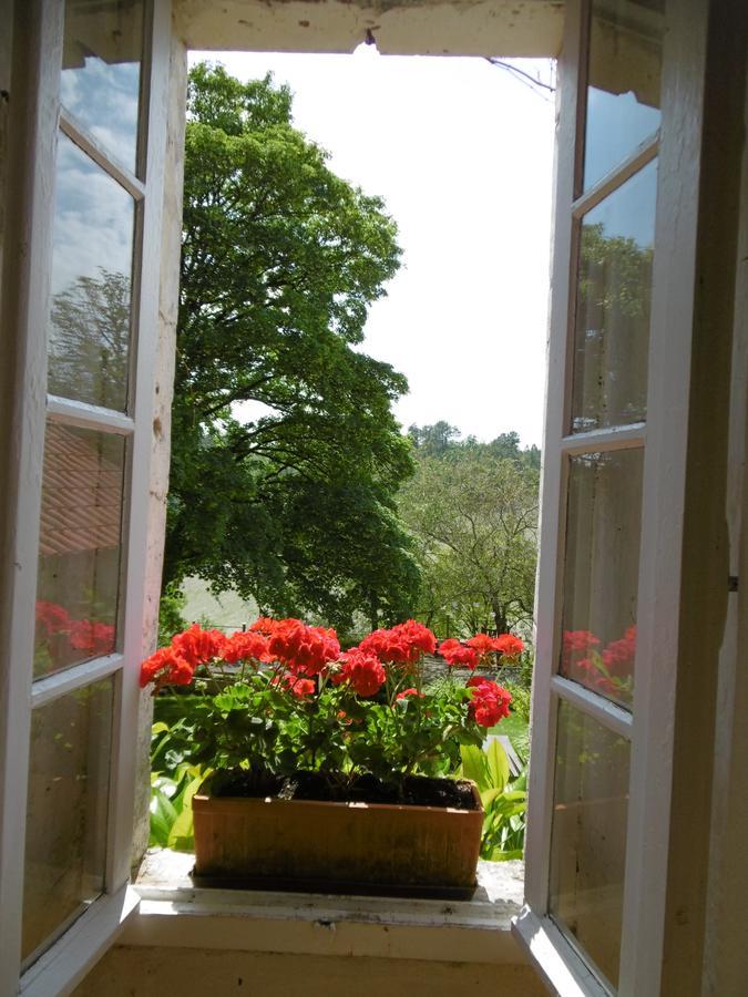 Pauliac Chambres D'Hotes Celles  Eksteriør billede